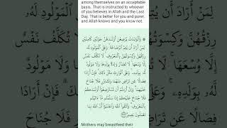 translation of the Quran in English