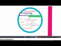 Understanding Sentence Structure and Grammar