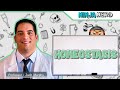 Exploring the Mechanisms of Homeostasis