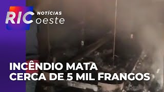 Incêndio mata cerca de 5 mil frangos em Santa Tereza do Oeste e destrói barracão