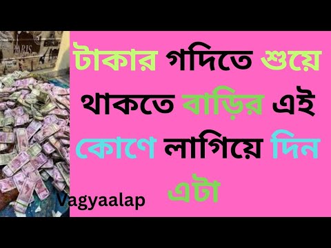 টাকার গদিতে শুয়ে থাকতে বাড়ির এই কোণে লাগিয়ে দিন এটা