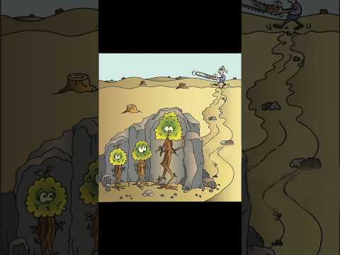 3 trees Pictures With Deep Meaning   video