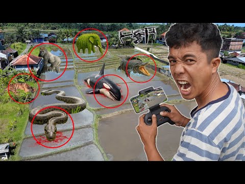 DRONE MEREKAM SEMUA HEWAN TERDAMPAR SAAT B4NJIR BESAR?!
