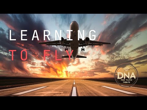 DNA Pink Floyd Tribute