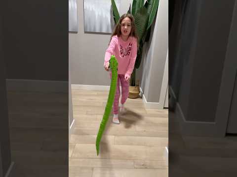Sierra’s quick thinking solution help avoid danger and saved her sister