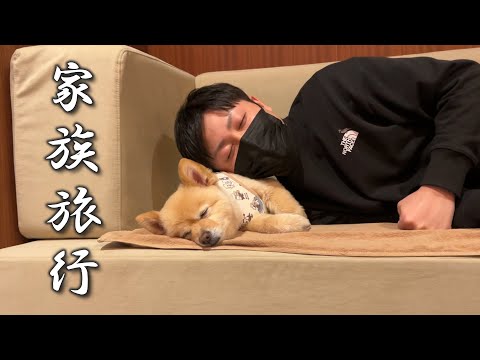 軽井沢旅行で睡魔の限界を迎えてしまった愛犬がこうなりました…笑