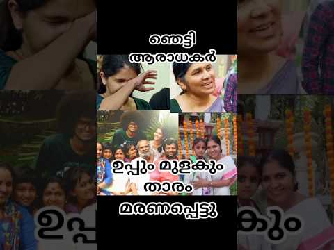 ഉപ്പും മുളകും താരം മരണപ്പെട്ടു