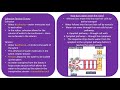Plant Water Transport Mechanisms