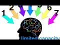 Multimedia Learning Principles Assessment