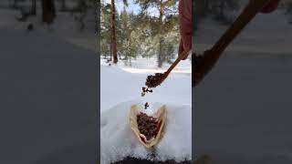 TAKO | mükemmel lezzet sırrı | TACO | The secret of perfect taste #shorts
