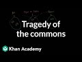 Understanding the Tragedy of the Commons