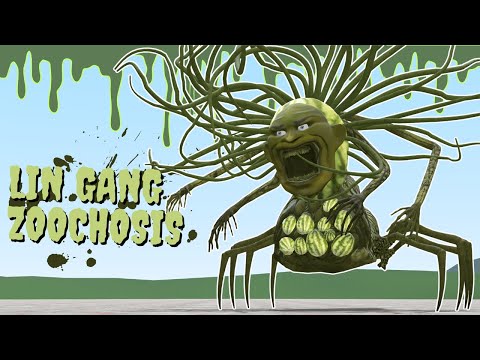 NEW LIN GANG ZOOCHOSIS MELON IN GARRY'S MOD