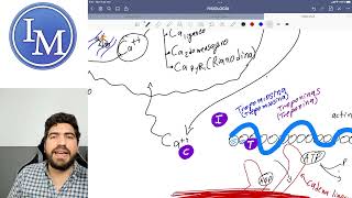 Fisiología | Primer parcial 11 | Potencial de acción y contracción muscular - continuación