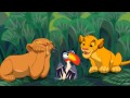 Understanding the Video Transcript