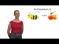 Hypothesis Testing Concepts