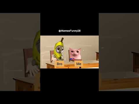 Memes cat🐱 Lớp học bất ổn! #shorts