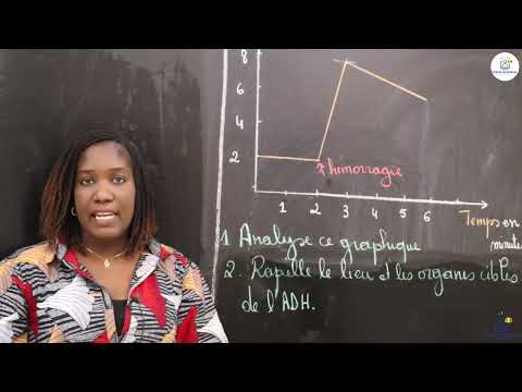 Exercices - Terminale L2 - SVT : Régulation de la Pression Artérielle / Mme Cissé