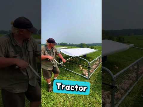 This Mobile Chicken Home is Genius 🐔 Meet the Chicken Tractor 🏰 #short #shortfeeds