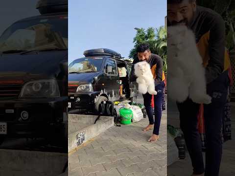 💥 New World trip 😱 | Car laye உலகத்தை சுற்றி பார்க்கலாமா 👍🔥
