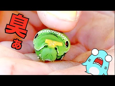 【カマキリとアゲハチョウの幼虫】秋の昆虫採集アニメ！サメニンジャーと芋虫のアニメ！