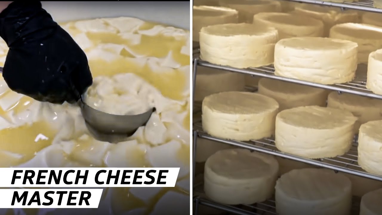 How French Camembert Cheese Is Made at La Ferme Du Champ Secret First Person