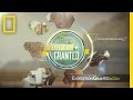 Exploration Grant Application Process