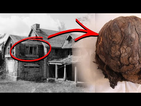 ☬ Lo que encontraron dentro de esta casa los hizo abandonarla... | elmundoDKBza