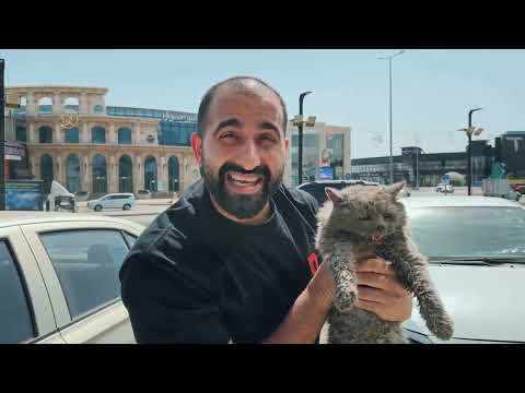 انقاذ قطة منزلية مرميه في الشارع!