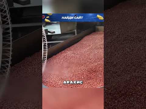 Производство дорогущего масла из арахиса 😮🔥🥜