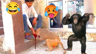 Monkey chacha hath mein khata hai 😂 #monkeyvideo #monkeycomedy #funnyanimal #funnymonkey 🐒😂