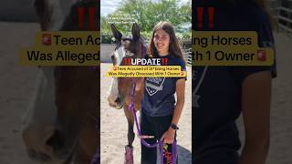 Teen Accused of Stabbing Horses in Las Vegas Was Allegedly Obsessed with Owner #horse #stabbingcase