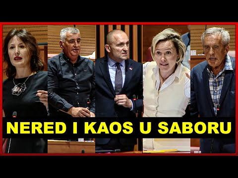 LJEVIČARI NA APARATIMA: Kaos i nered u Saboru zbog vojnog roka, Thompsona i "Za dom spremni"