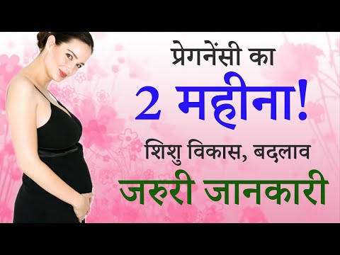 Garbhavastha ka Dusra Mahina | Pregnancy 2nd Month in Hindi | Pregnancy ka 2nd Month Pregnancy Tips