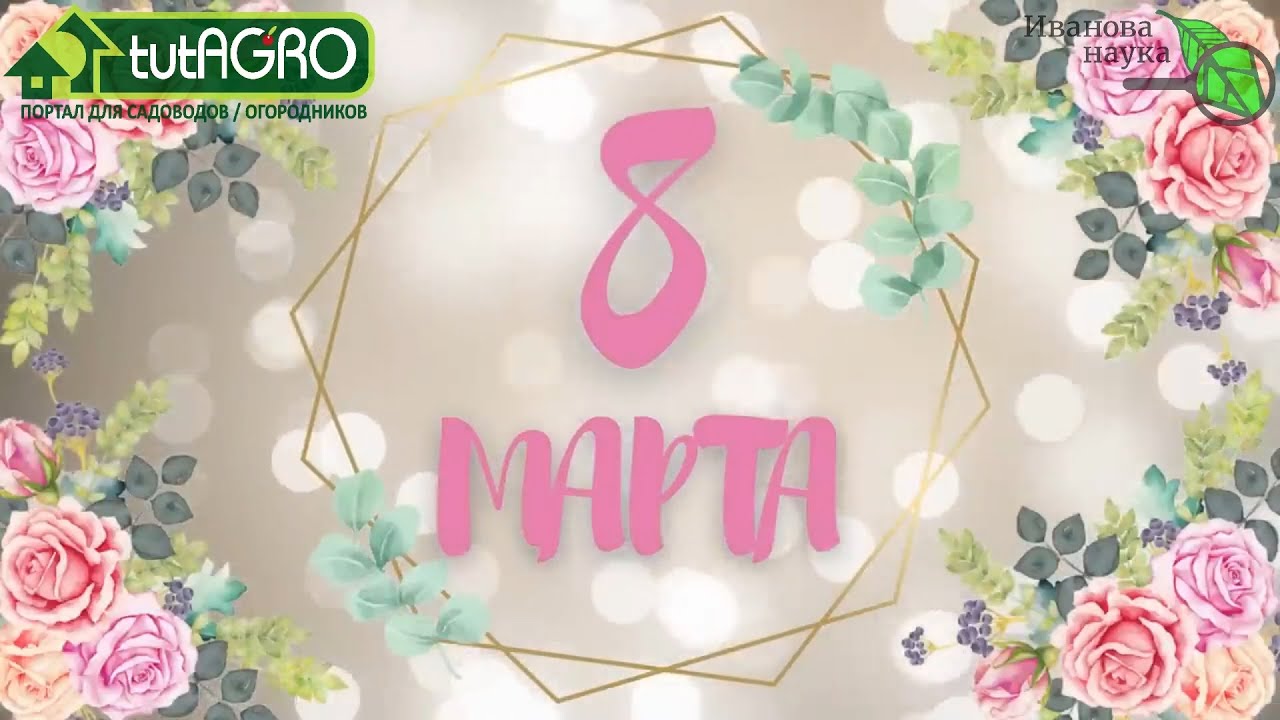 С 8 марта, дорогие женщины! С праздником вас весны и женственности!