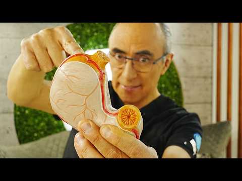 Alimentos Milagrosos: Cómo Curar la Gastritis de Forma Natural 🌿🍽️