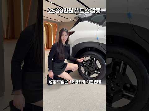 2500만원 셀토스 깡통, 과연 살만할까?