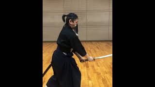 素振り Suburi 動乱稽古 Doran-geiko