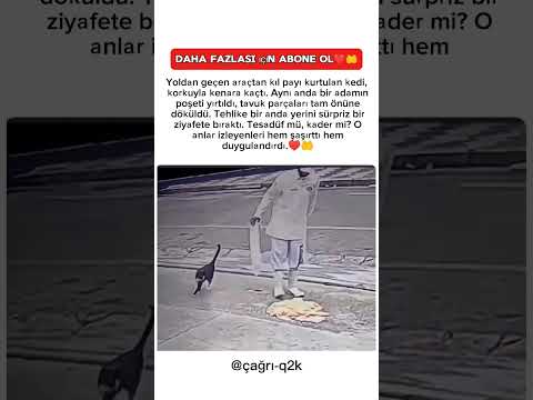 Bir Anda Yola Çıktı, Sonrası İzleyenleri Gülümsetti♥️🤲
