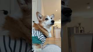 He has a good dentist