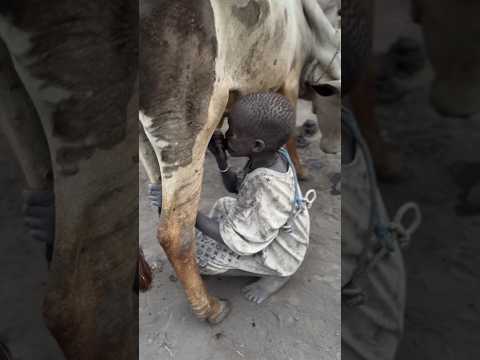 Tribals can become millionaires through milk