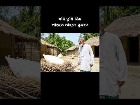 যদি তুমি ডিম পাড়তে তাহলে বুঝতে 🫵😆#viral #abir #funny #trending