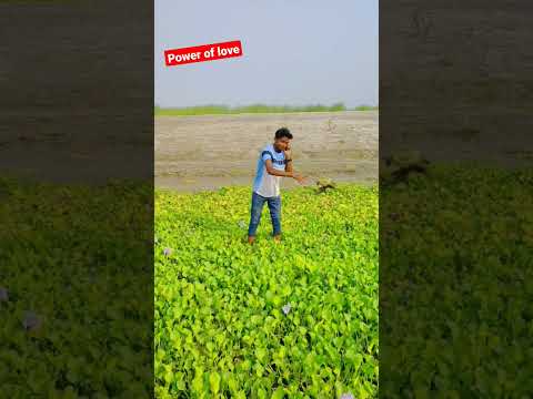 Power of river😂😂