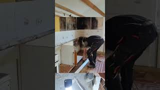 Tag 2 von 70 – Abriss & SchimmelTag 2 bei PROJEKT 10 WOCHEN – und jetzt geht der Abriss richtig los!