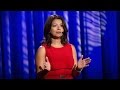 Immigrant Perspectives in American Democracy