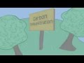 Understanding Carbon Sequestration Effects