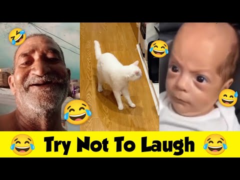 😂Try Not To Laugh🤣 | Ep 3 | Sigma🗿 Memes | 😂Wah Kya Scene Hai | Trending Memes Compilation