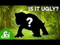 Lystrosaurus and the End-Permian Extinction