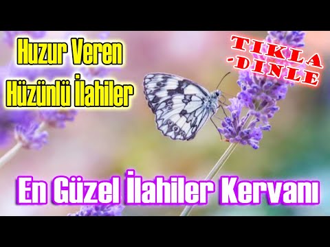 İlahi Sesler 🌹 En Güzel Yeni İlahiler 💜 Seçilmiş Karışık İlahiler 🌹 İlahi Dinle