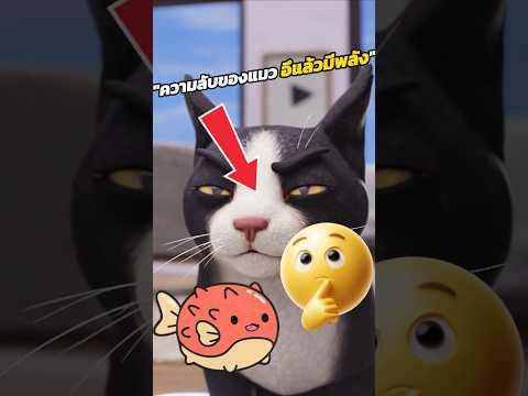 ความลับของแมว ทำไมอึแล้วมีพลัง!?