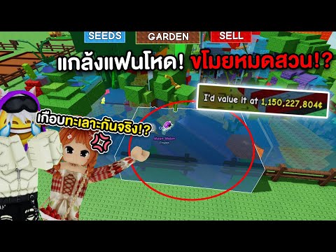 แกล้งแฟนโหด! ขโมยผลไม้หมดสวนจนเกือบทะเลาะกันจริง!? | Grow a Garden